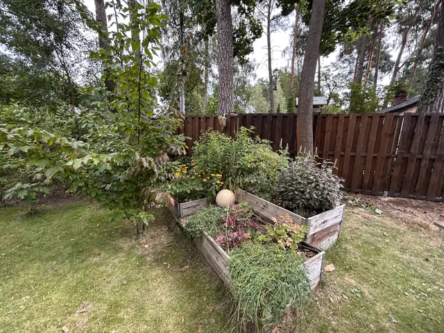 LocationRobot - Film Location Einfamilienhaus LR6515 (photo 45)