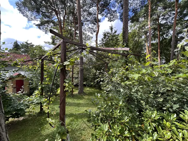 LocationRobot - Film Location Einfamilienhaus LR6515 (photo 43)