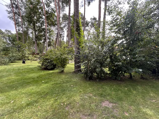LocationRobot - Film Location Einfamilienhaus LR6515 (photo 40)