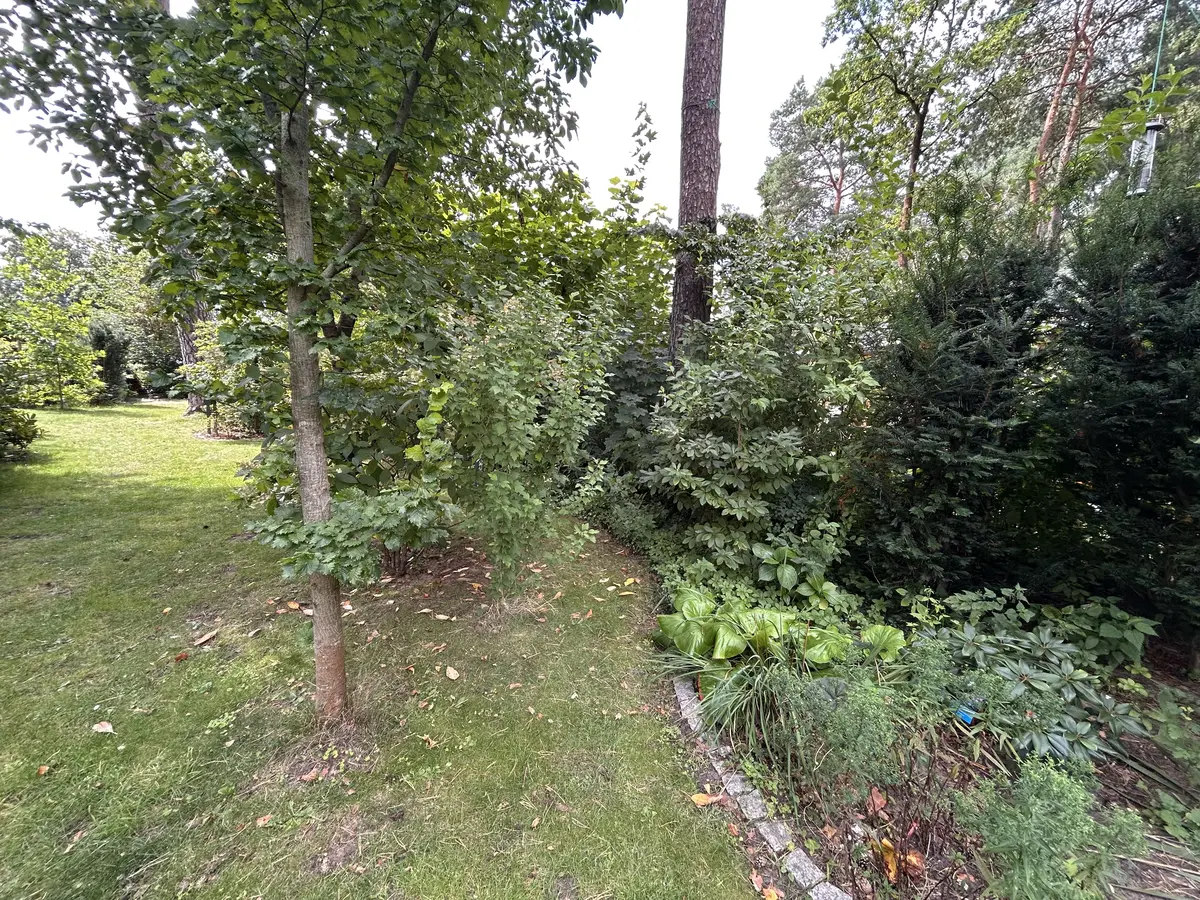 LocationRobot - Film Location Einfamilienhaus LR6515 (photo 39)