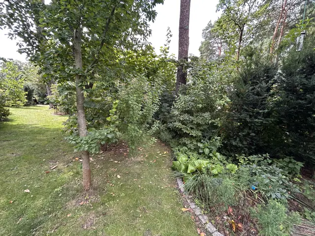 LocationRobot - Film Location Einfamilienhaus LR6515 (photo 39)