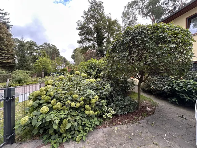 LocationRobot - Film Location Einfamilienhaus LR6515 (photo 5)