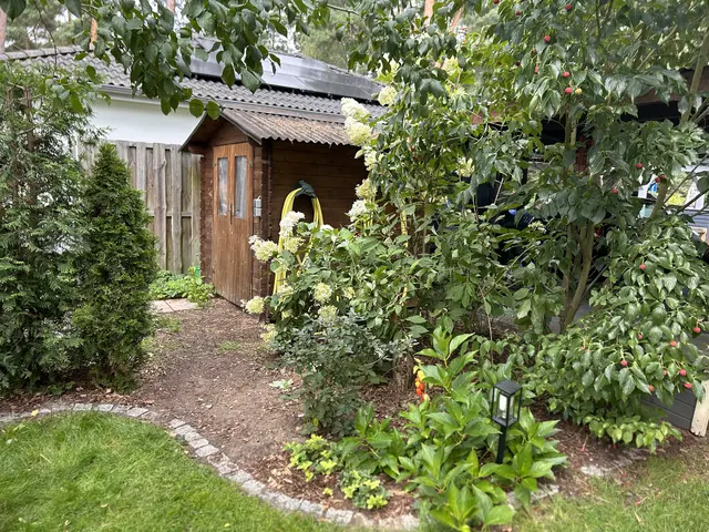 LocationRobot - Film Location Einfamilienhaus LR6515 (photo 36)