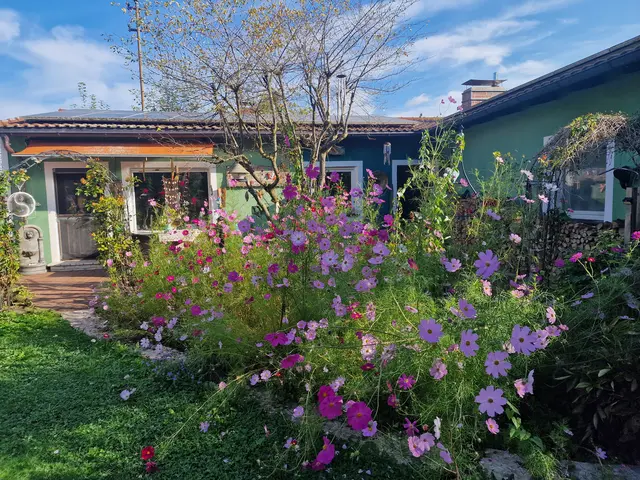 LocationRobot - Film Location Bungalow LR6579 (photo 16)
