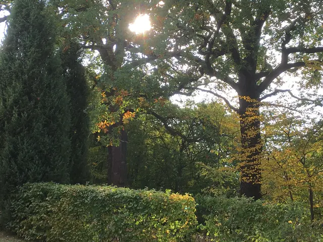 LocationRobot - Film Location Haus LR2094 (photo 9)