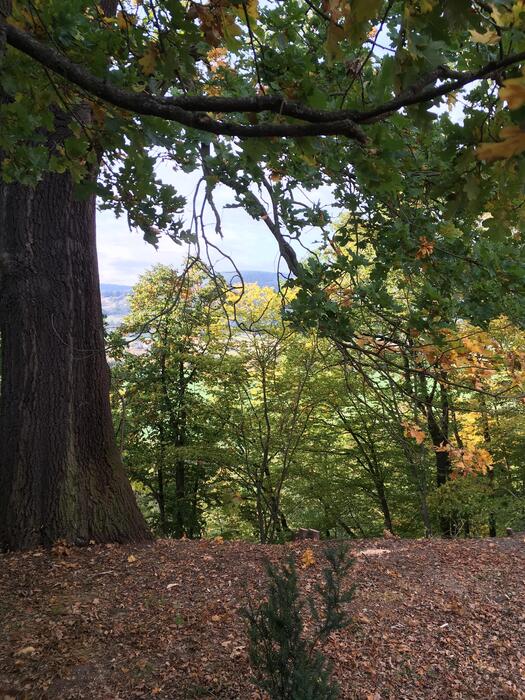 LocationRobot - Film Location Haus LR2094 (photo 7)