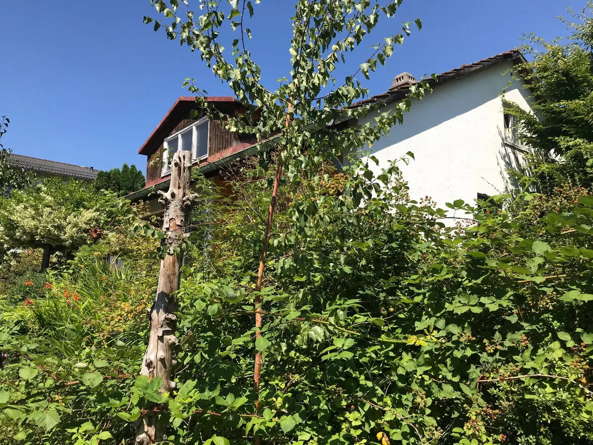 LocationRobot - Film Location Haus LR3398 (photo 12)