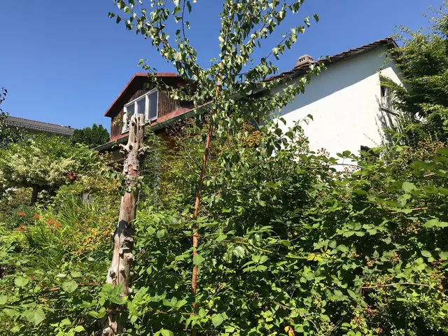 LocationRobot - Film Location Haus LR3398 (photo 12)