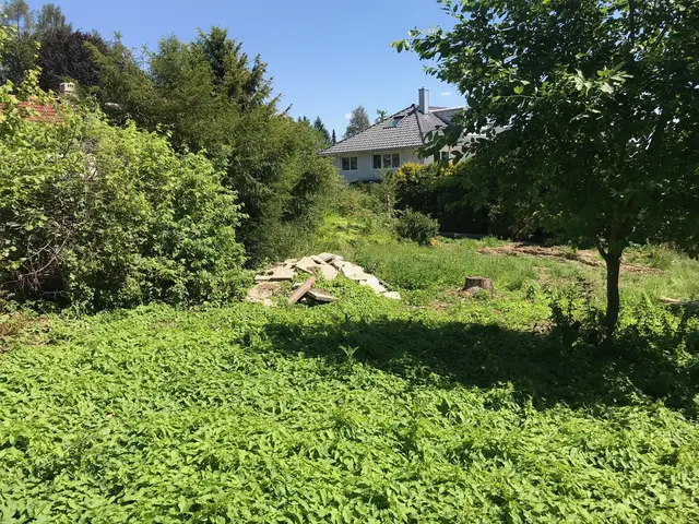 LocationRobot - Film Location Haus LR3398 (photo 14)