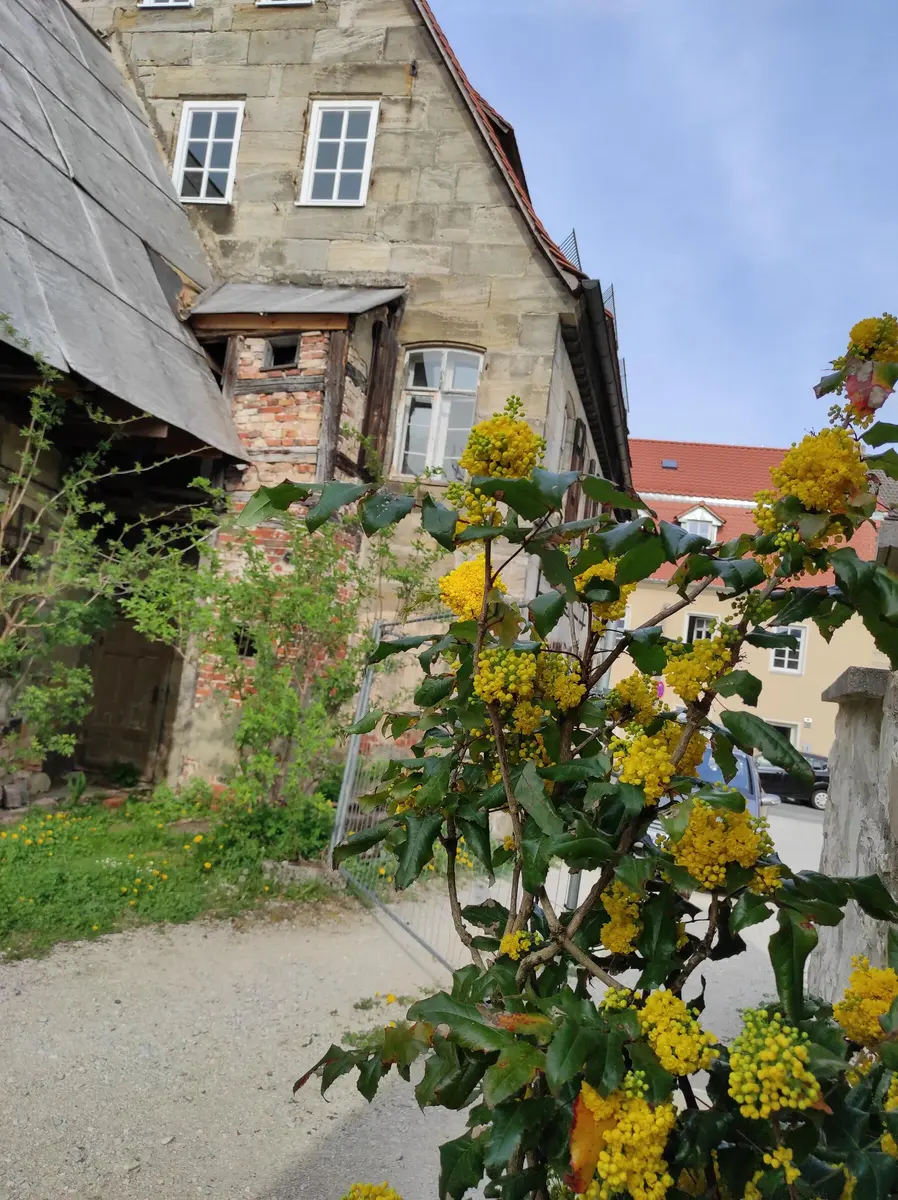 LocationRobot - Film Location Haus LR4283 (photo 38)