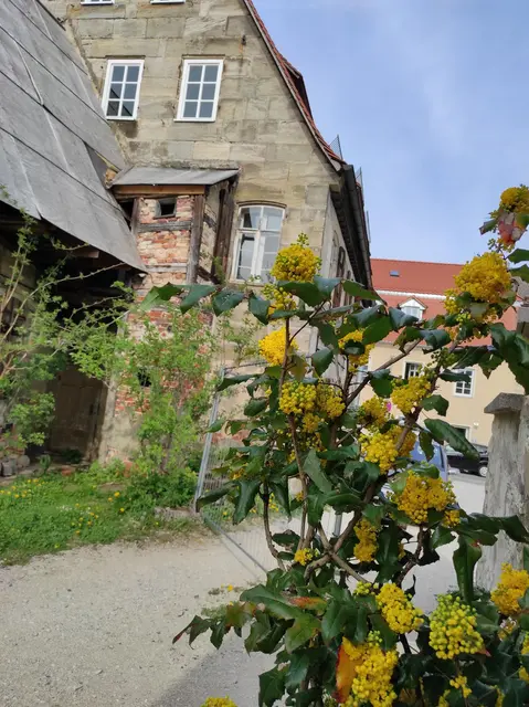 LocationRobot - Film Location Haus LR4283 (photo 38)