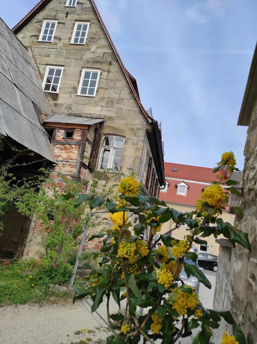 LocationRobot - Film Location Haus LR4283 (photo 37)
