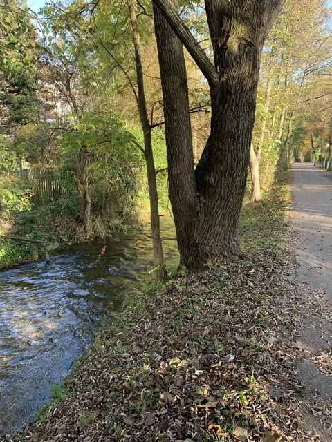 LocationRobot - Film Location Haus LR4572 (photo 23)