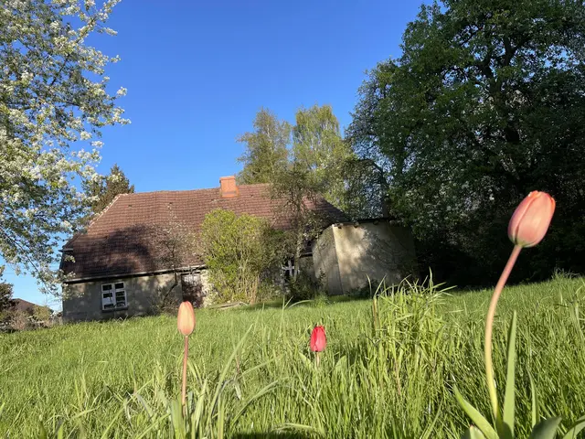 LocationRobot - Film Location Bauernhof LR5032 (photo 2)