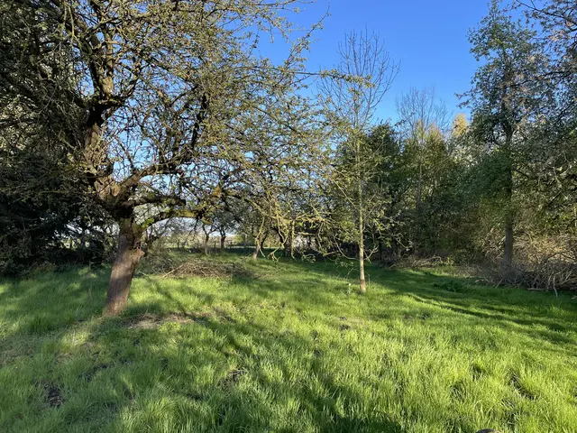 LocationRobot - Film Location Bauernhof LR5032 (photo 12)