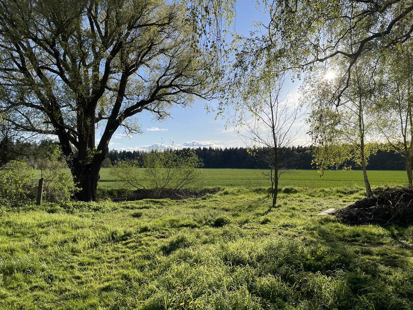 LocationRobot - Film Location Bauernhof LR5032 (photo 9)