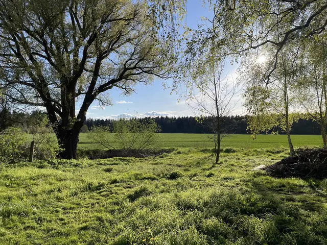 LocationRobot - Film Location Bauernhof LR5032 (photo 9)