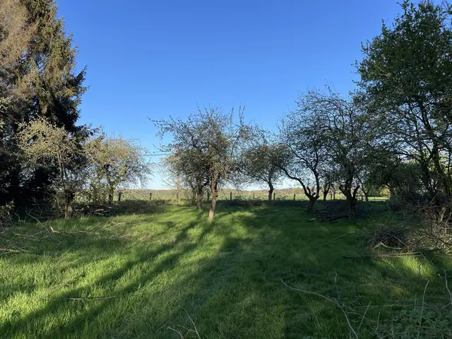 LocationRobot - Film Location Bauernhof LR5032 (photo 13)