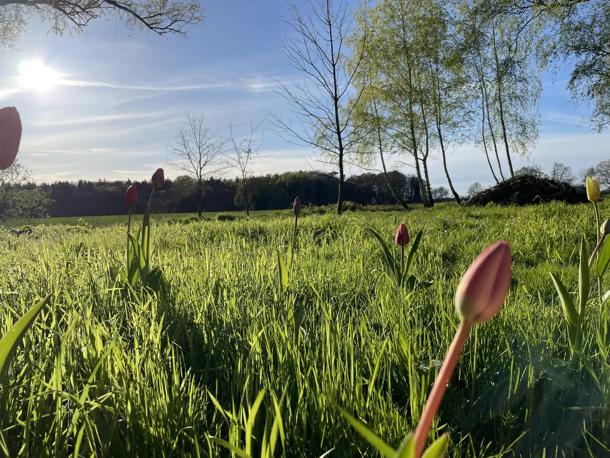 LocationRobot - Film Location Bauernhof LR5032 (photo 11)