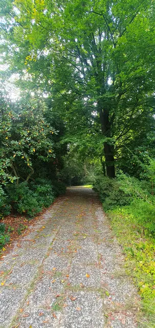 LocationRobot - Film Location Villa LR5079 (photo 58)