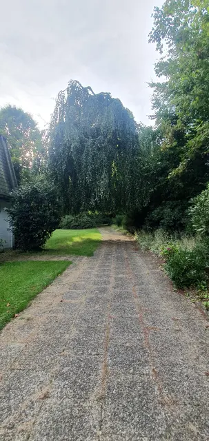 LocationRobot - Film Location Villa LR5079 (photo 54)