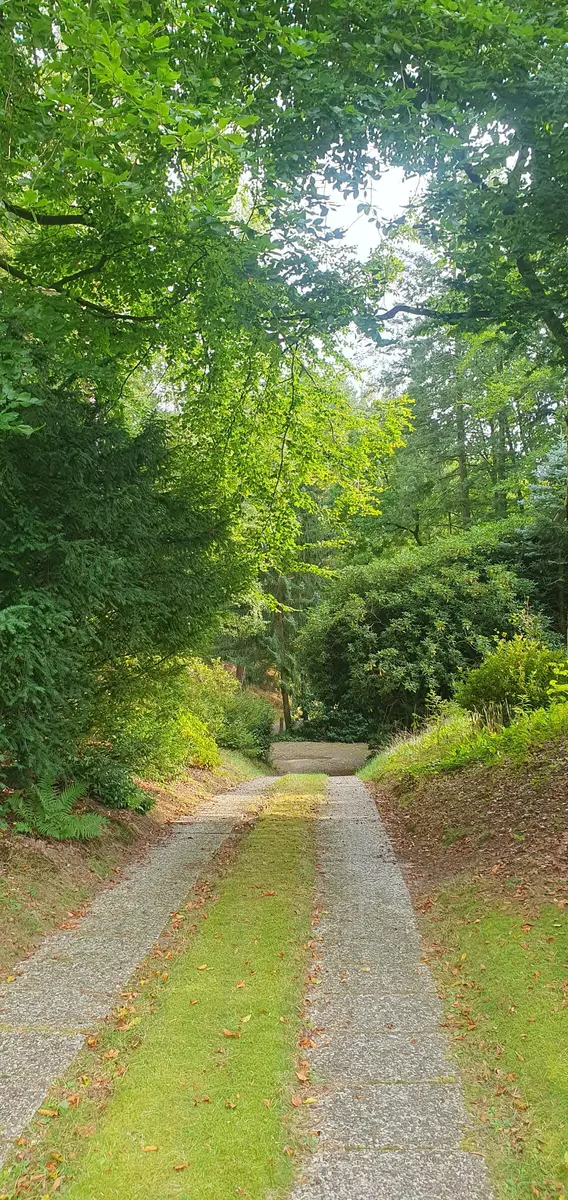 LocationRobot - Film Location Villa LR5079 (photo 60)