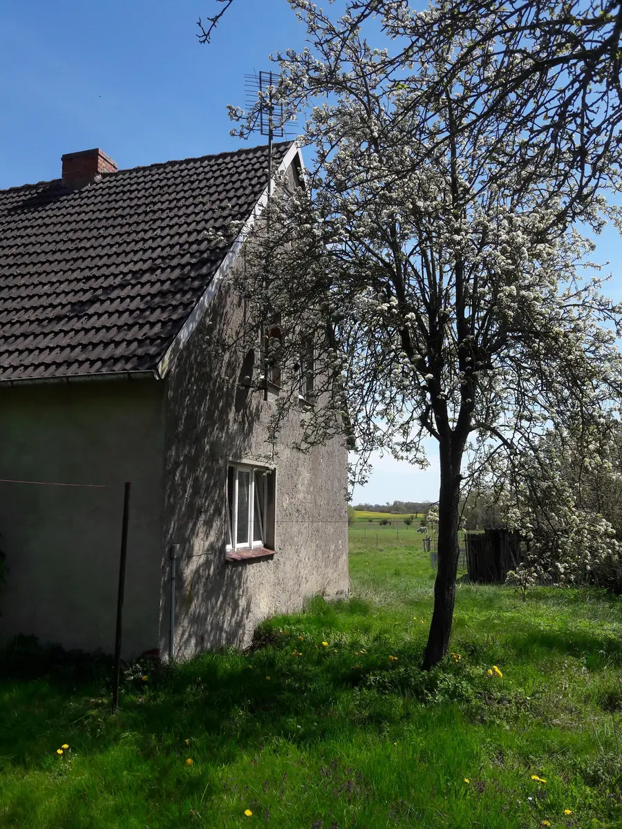 LocationRobot - Film Location Haus LR5256 (photo 2)