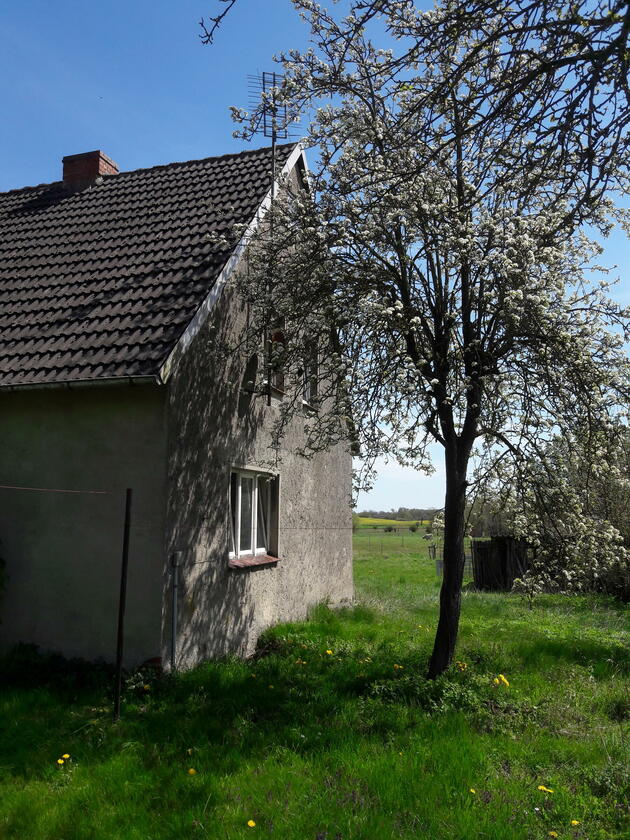 LocationRobot - Film Location Haus LR5256 (photo 2)