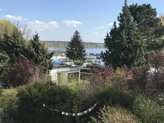 LocationRobot - Film Location Haus LR5550 (photo 38)