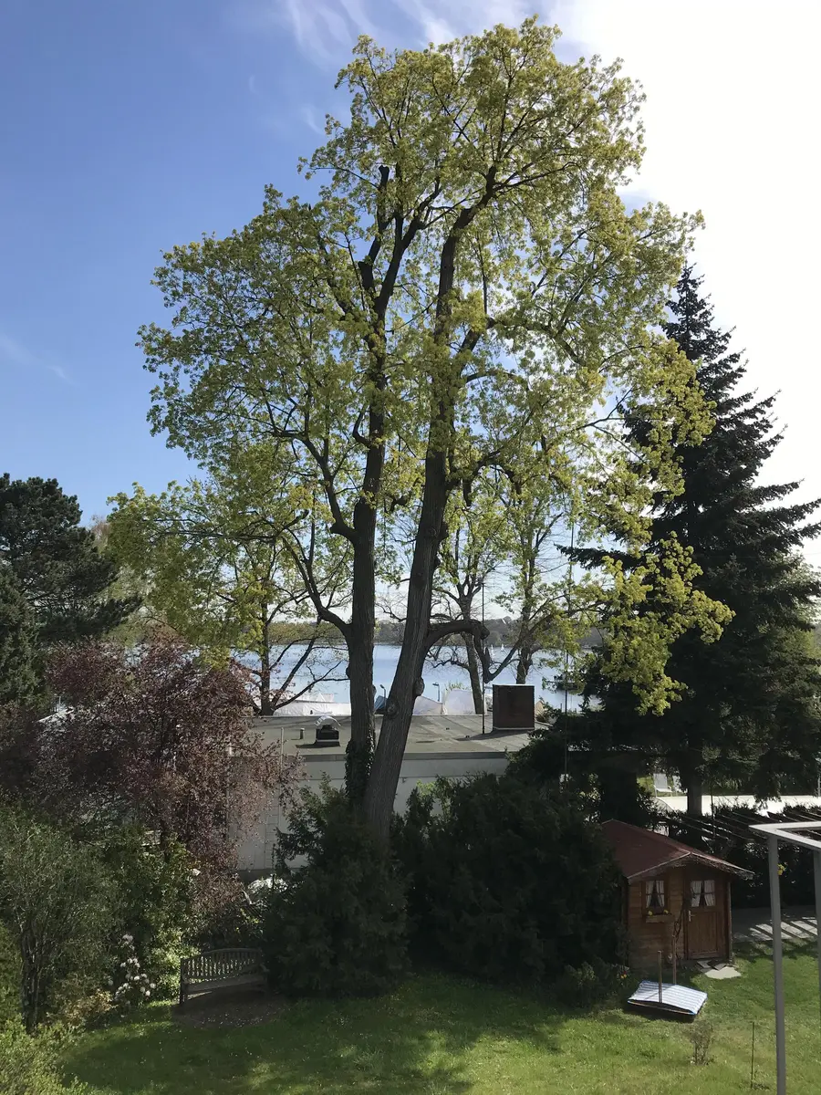 LocationRobot - Film Location Haus LR5550 (photo 47)