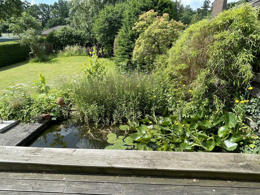 LocationRobot - Film Location Haus LR5630 (photo 8)