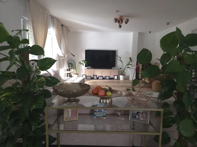 LocationRobot - Film Location Haus LR6557 (photo 6)
